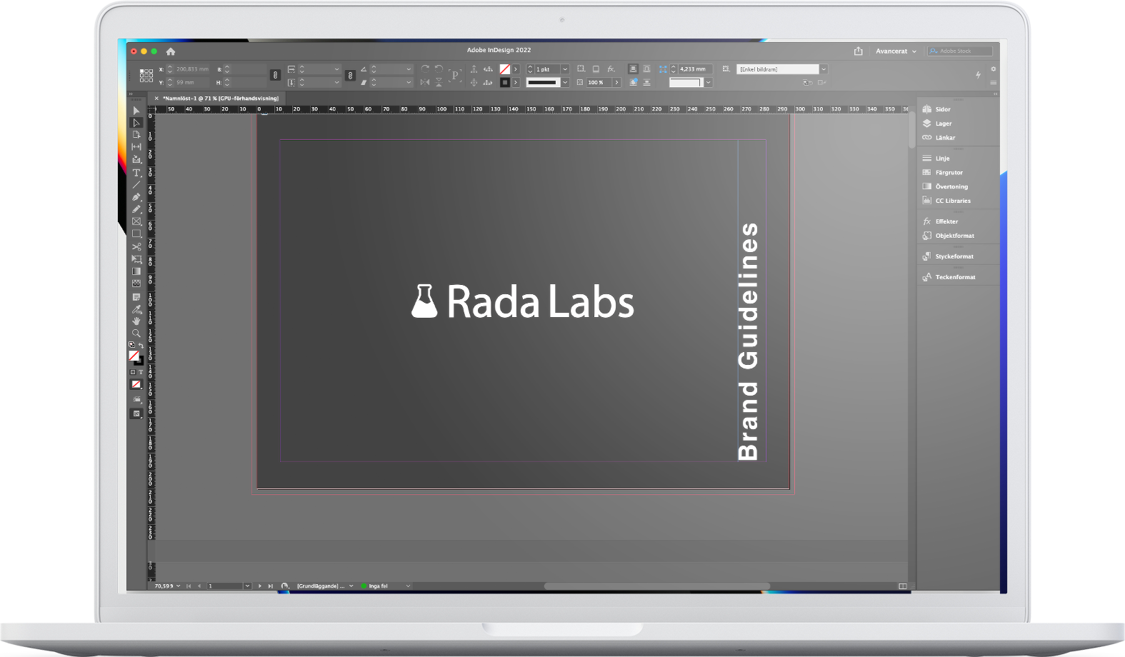 Brand guide Rada Labs
